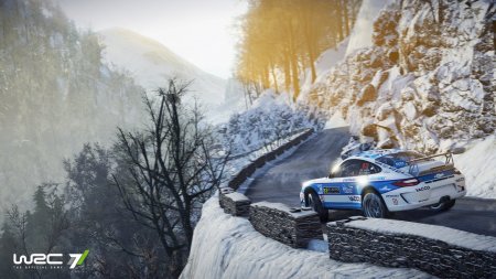 WRC 7 FIA World Rally Championship 2017 скачать торрент