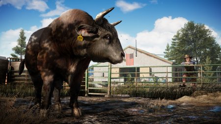 Far Cry 5 Механики скачать торрент