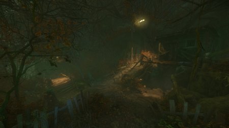 The Cursed Forest скачать торрент
