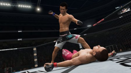 UFC Undisputed 3 Механики скачать торрент