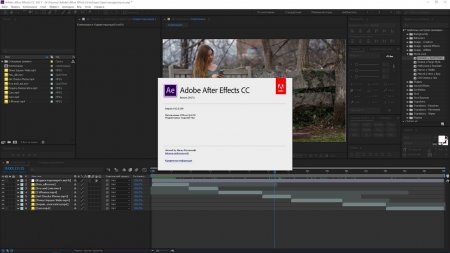 Adobe After Effects CC 2017 скачать торрент
